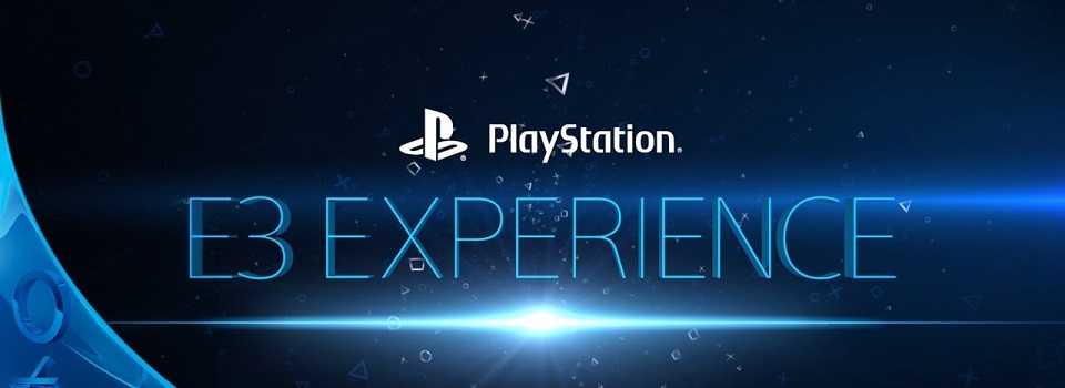 Impressions on the PlayStation Experience