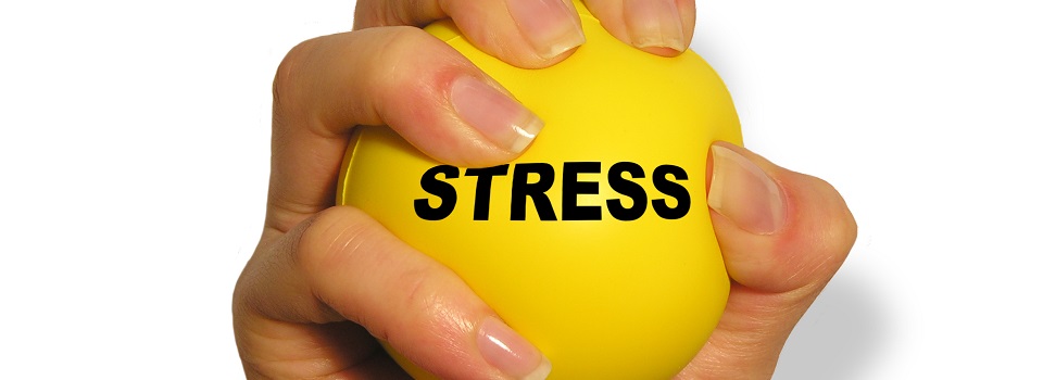 Video Gaming: The Perfect Coping Tool?