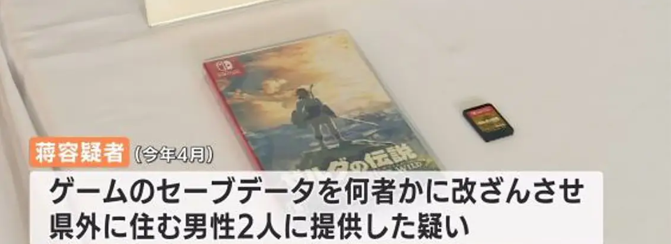 Tokyo Man Arrested for Selling Modified Zelda Save Files