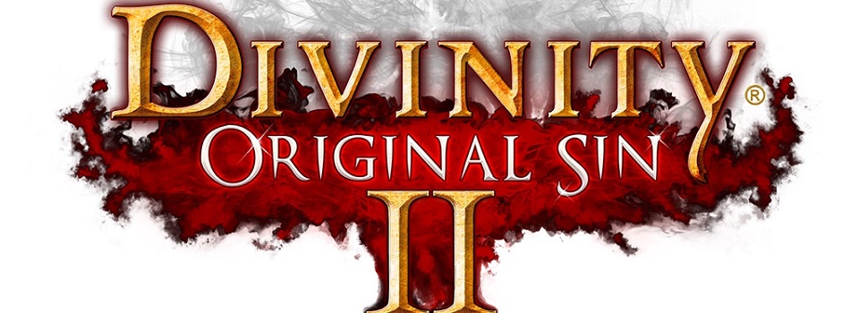 Divinity: Original Sin II to be Larian Studios' Kickstarter Encore