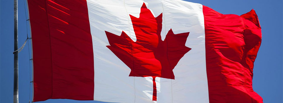 How to choose the best online casino in Canada? 5 useful tips