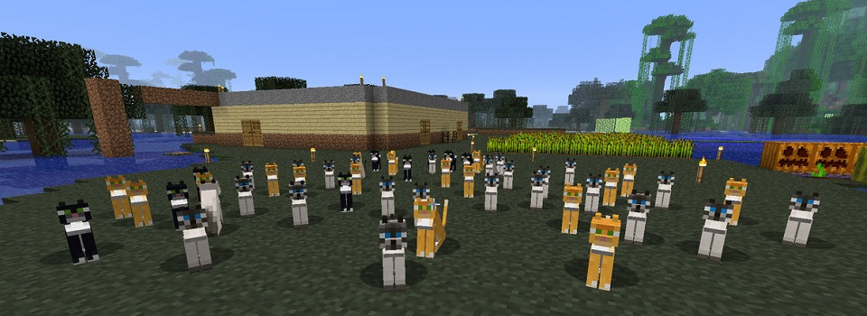 Have your Cat Officially Added to Minecraft