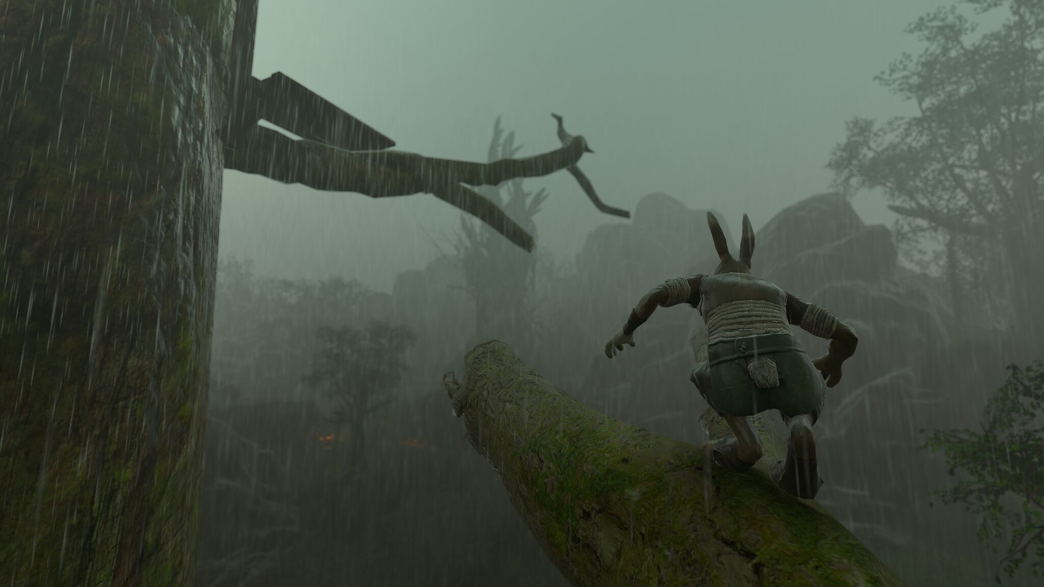 Overgrowth%204.jpg