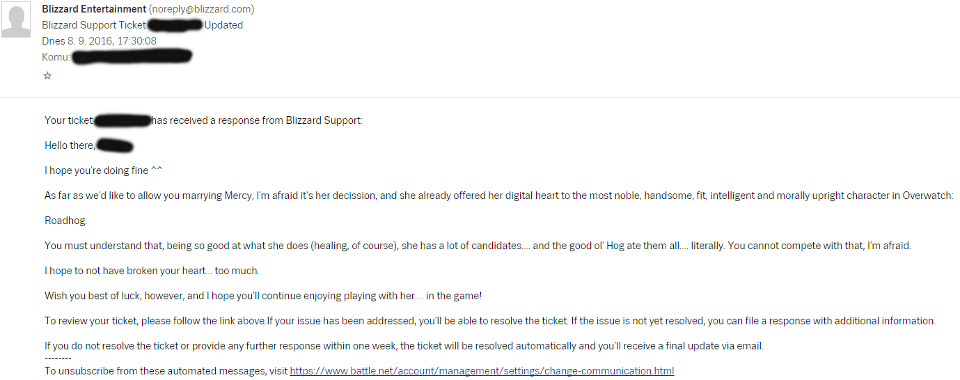 Blizzard Support