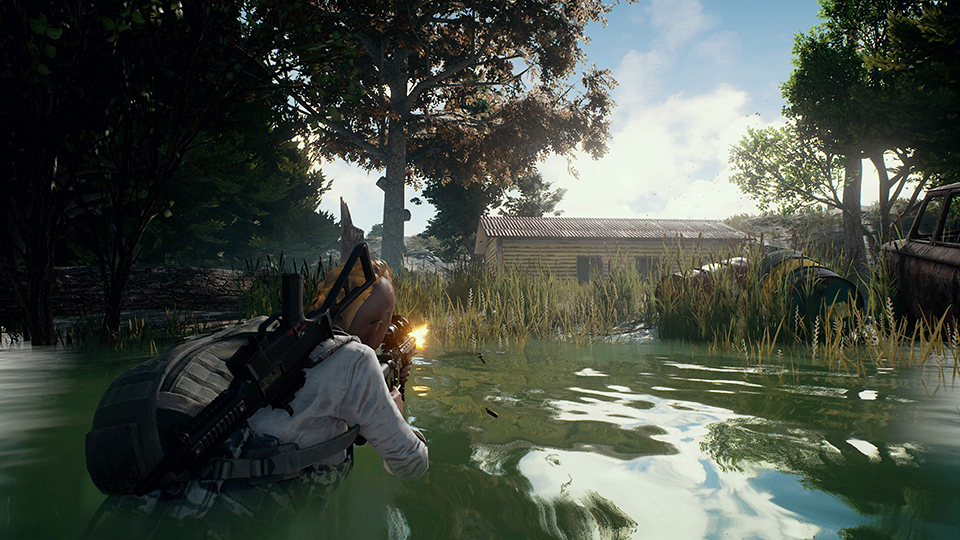 btg%20swamp.jpg