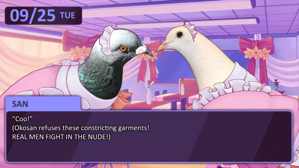 Birds.png